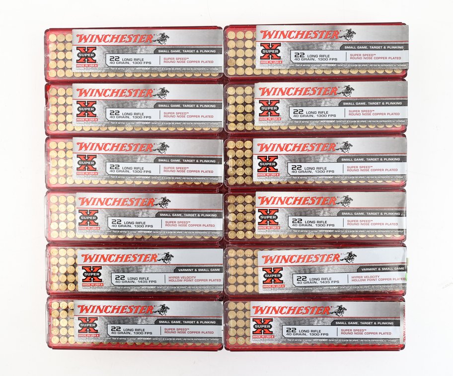 22LR Ammo