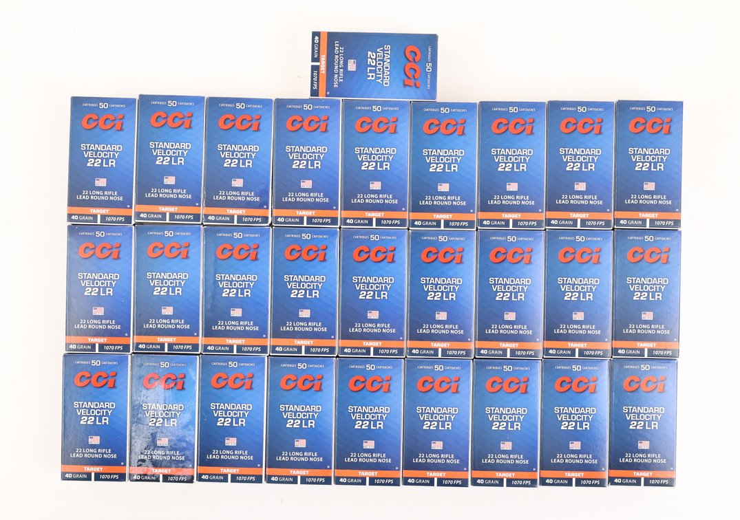 22LR Ammo