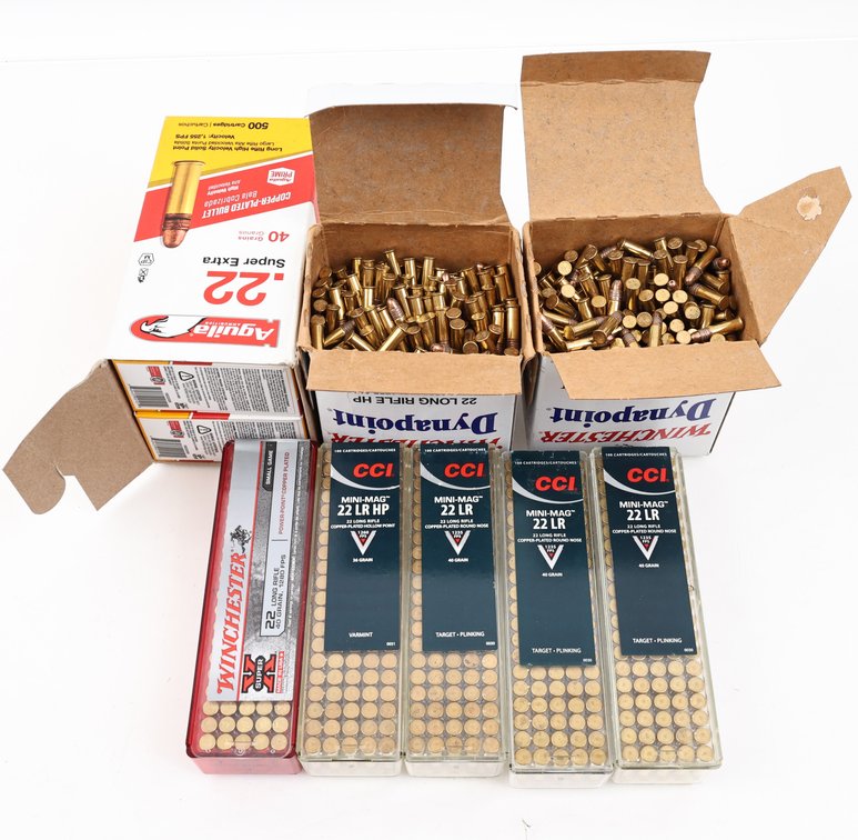 22LR Ammo Assorted