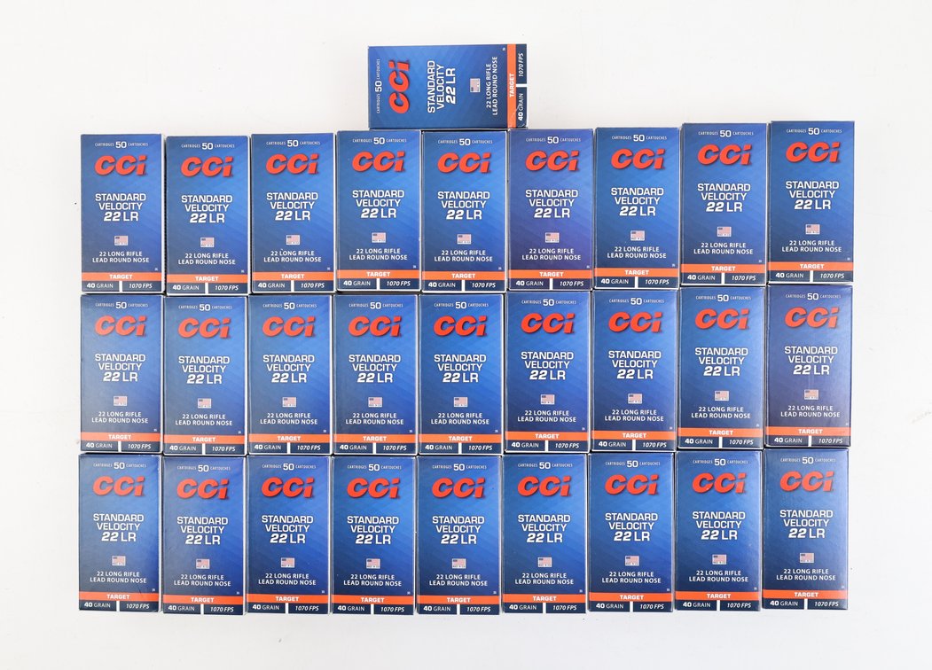 22LR Ammo