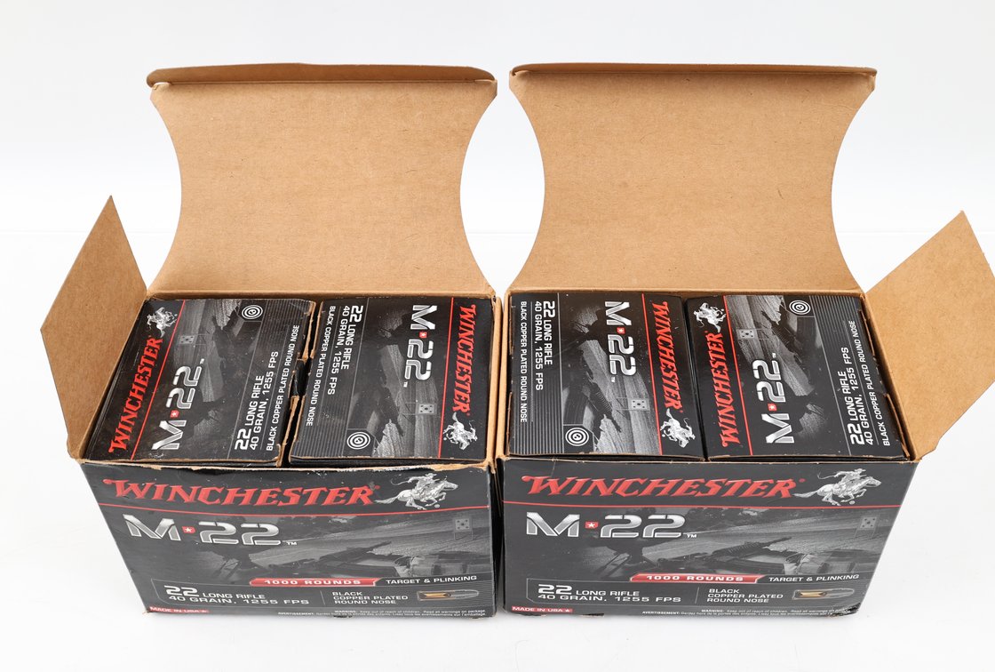 22LR Ammo