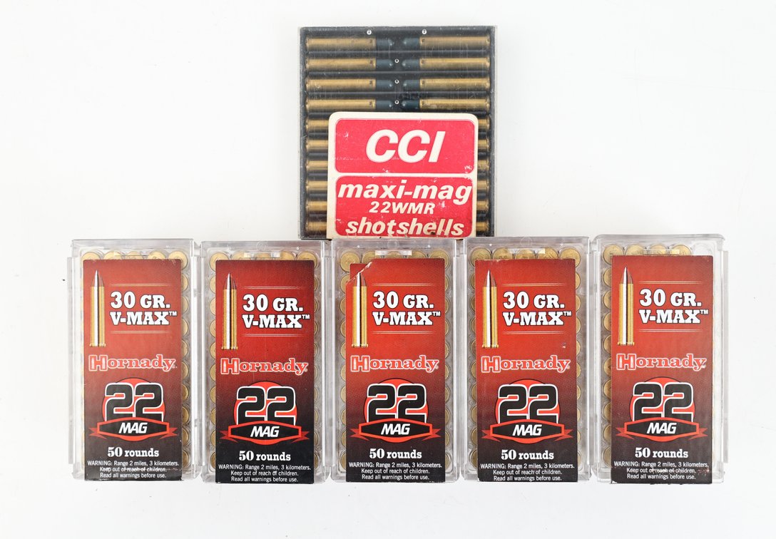 22WMR Ammo