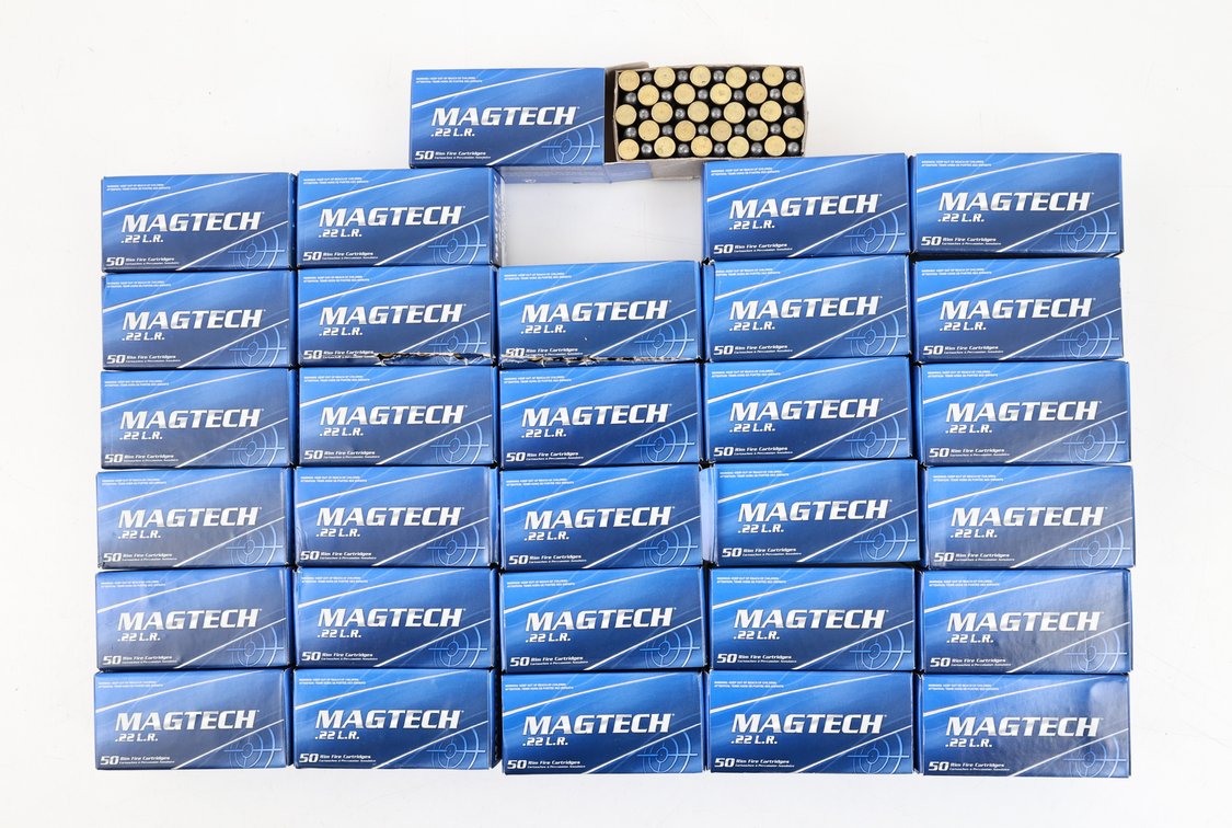 22LR Ammo