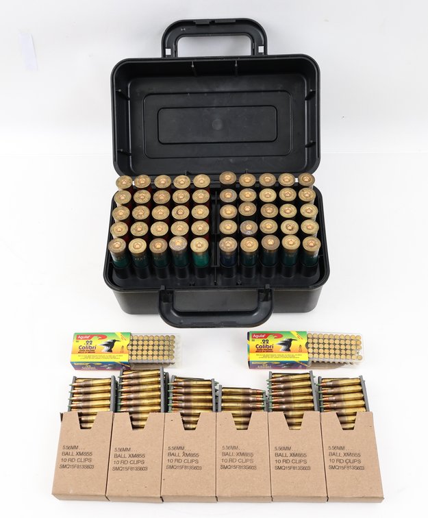 Ammo Assorted