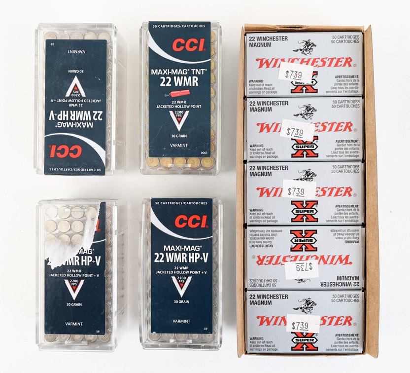 22WMR Ammo