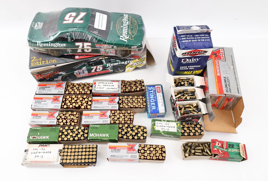 22 Rimfire Ammo And BB's Assorted
