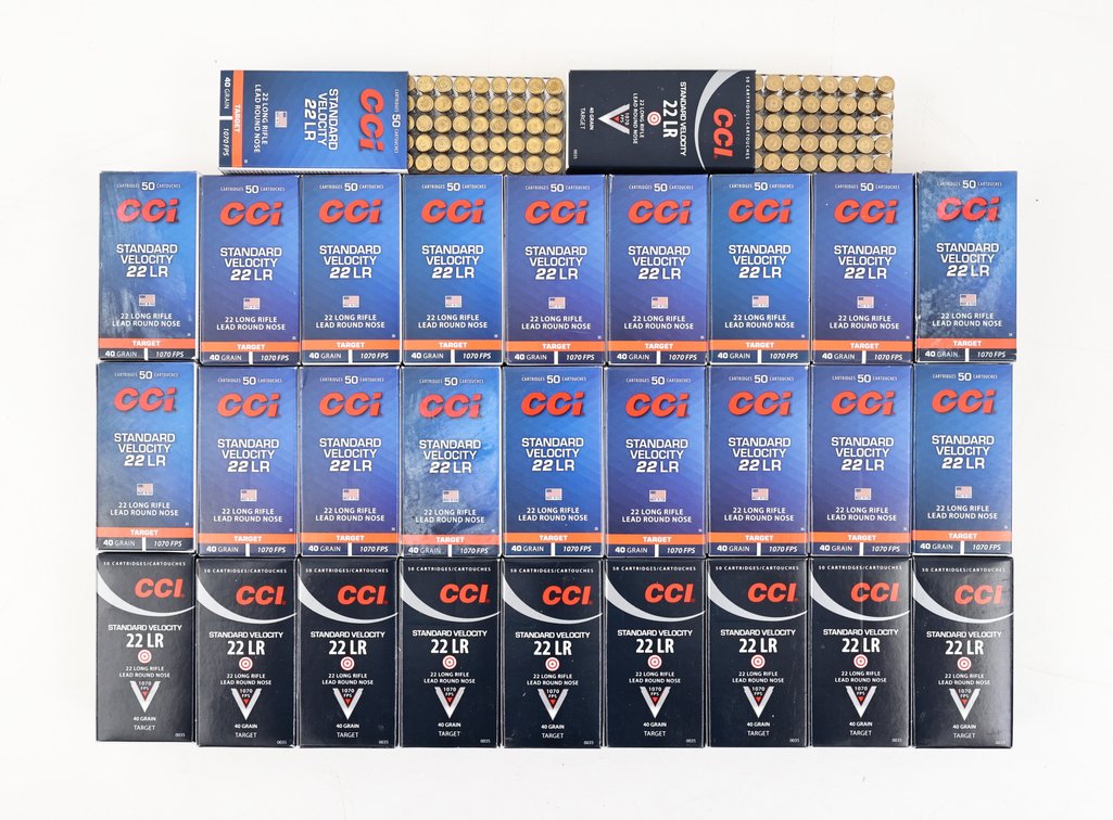 22LR Ammo