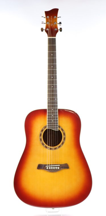 Jay Turser Acoustic Guitar
