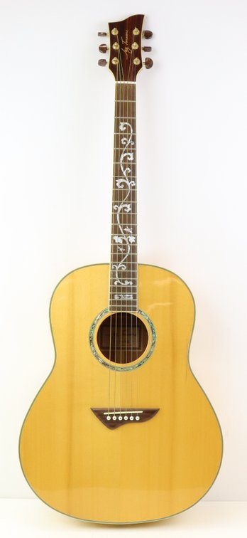 Jay Turser JTA-DS/NG Acoustic Guitar