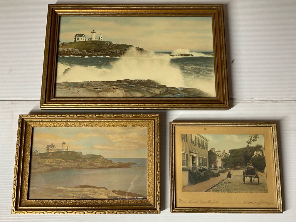 Framed Hand-Colored Photographs
