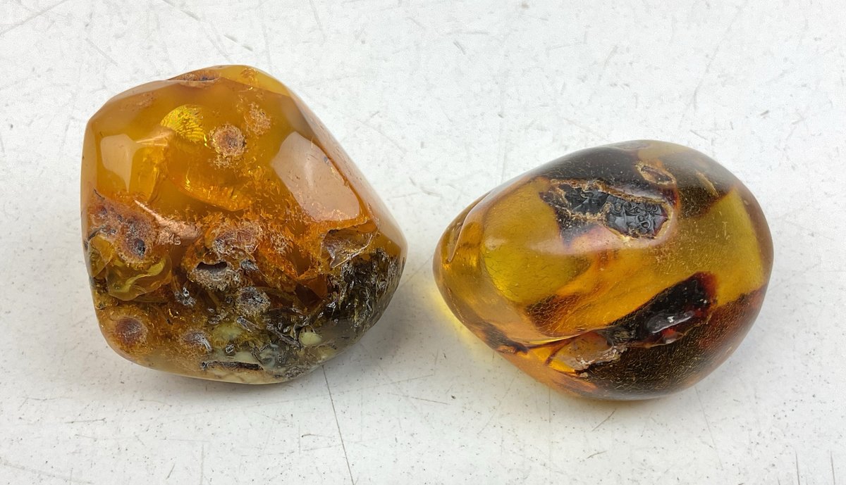 Amber Mineral Specimens