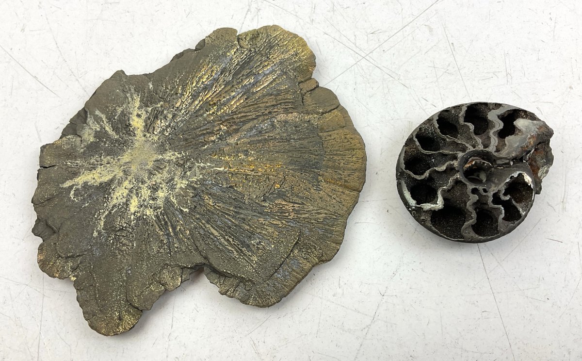Pyrite Specimens