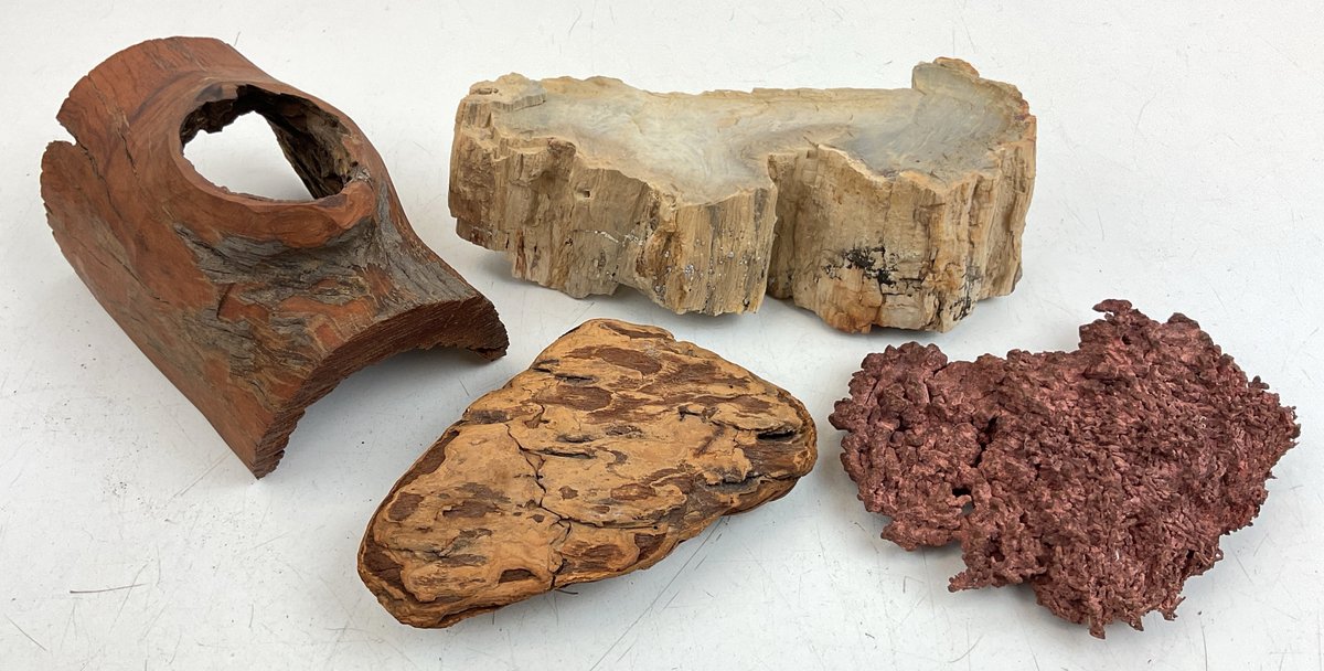 Assorted Specimens