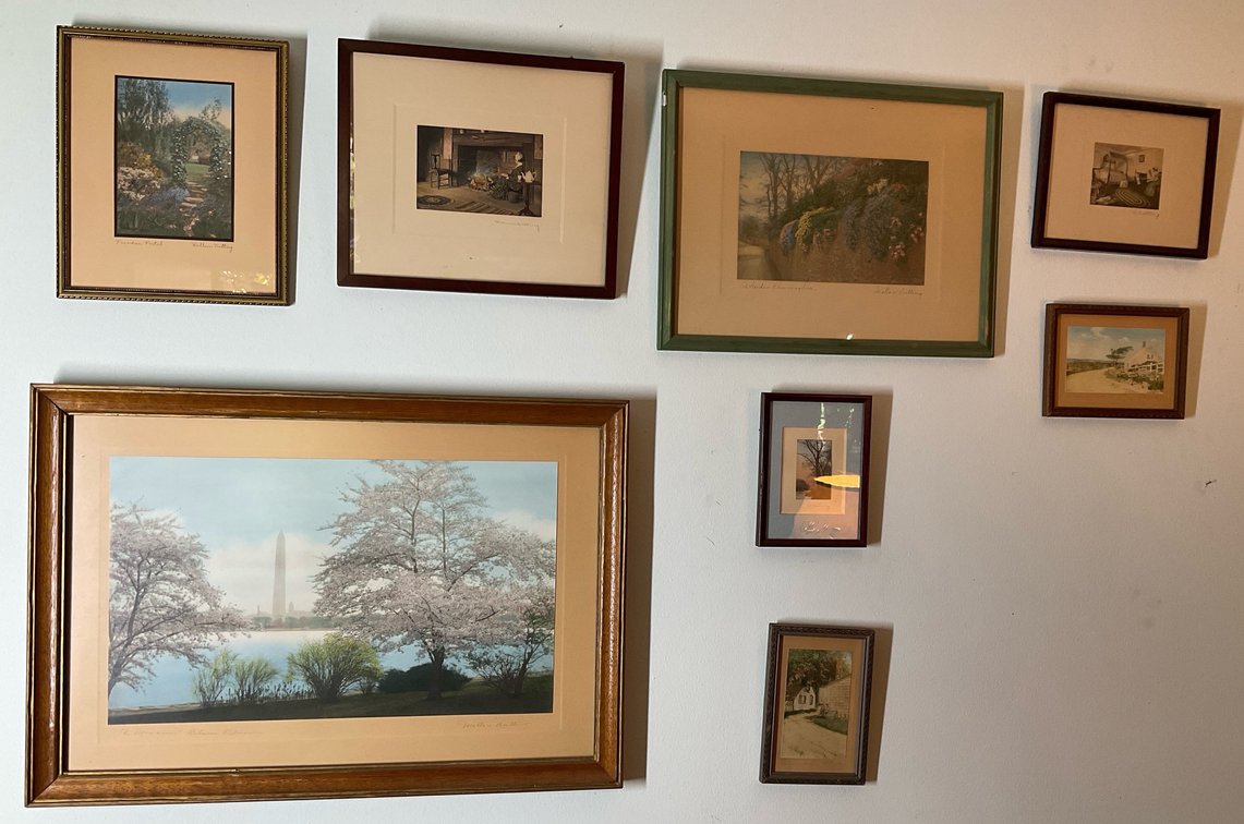 Framed Hand-Colored Photographs