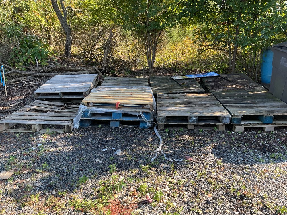 Wood Pallets