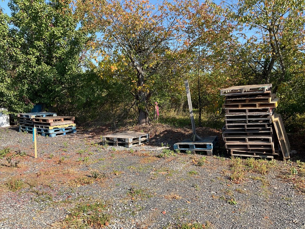 Wood Pallets