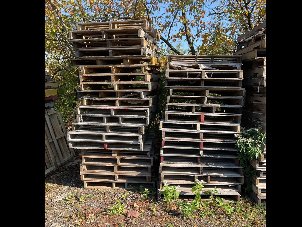 Wood Pallets