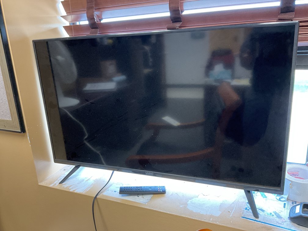 VIZIO Flat-Screen Television