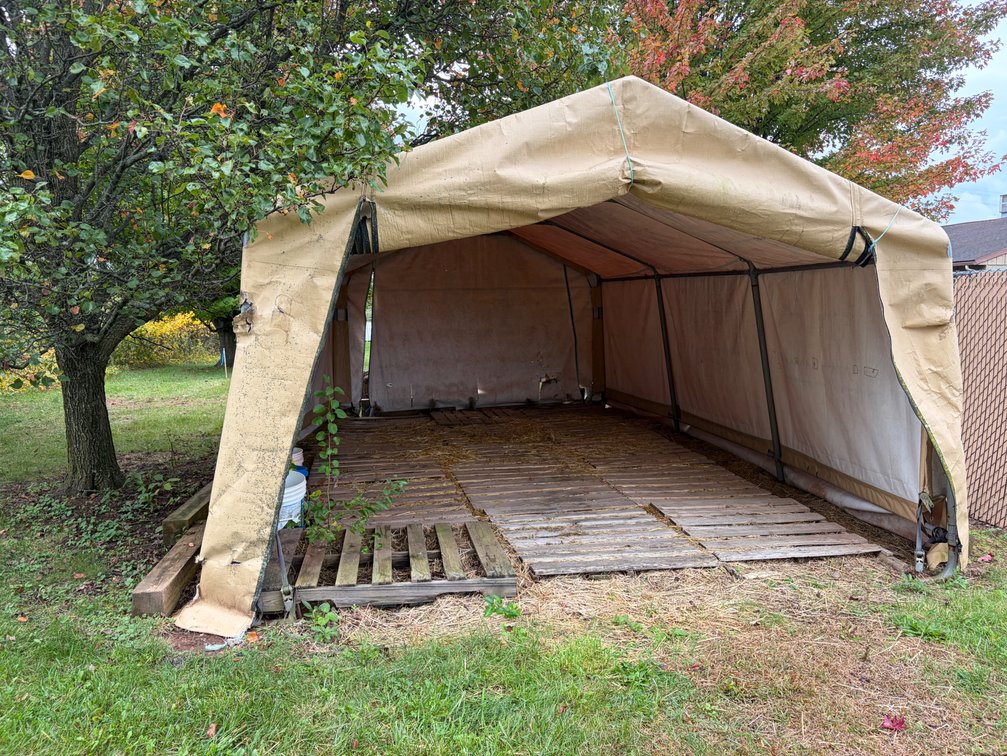 ShelterLogic All Weather Canopy Shelter