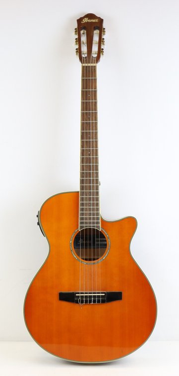 Ibanez AEG10N  Guitar