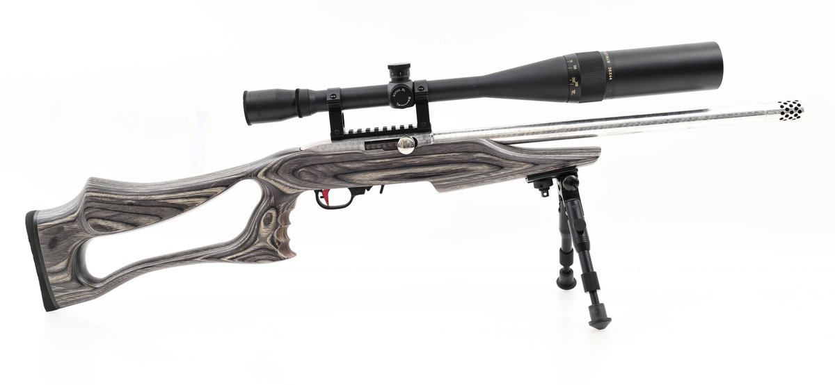 Ruger 10/22 Semi Automatic Rifle