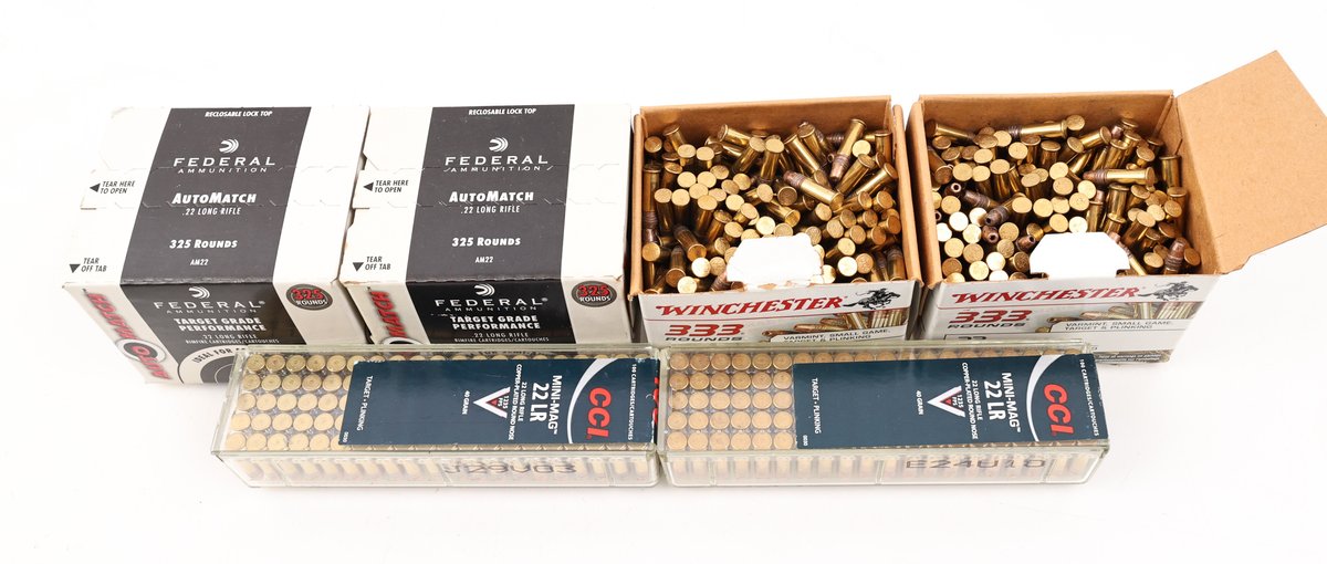 22LR Ammo Assorted