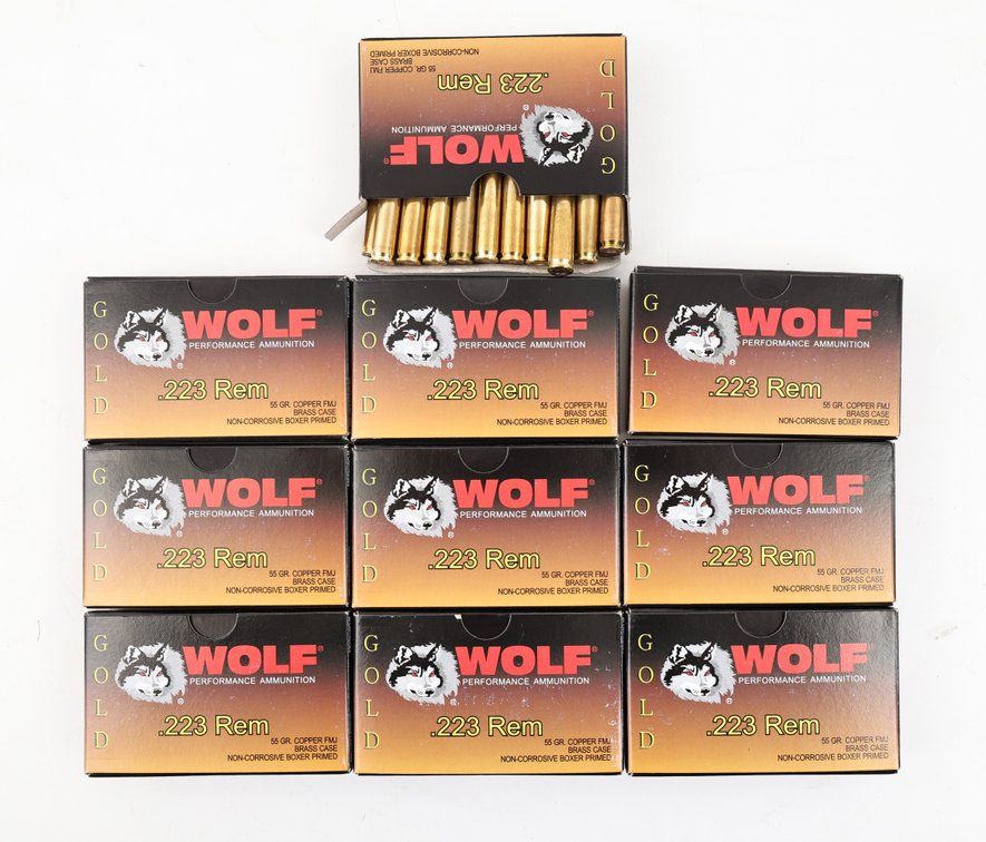 223 Rem Ammo
