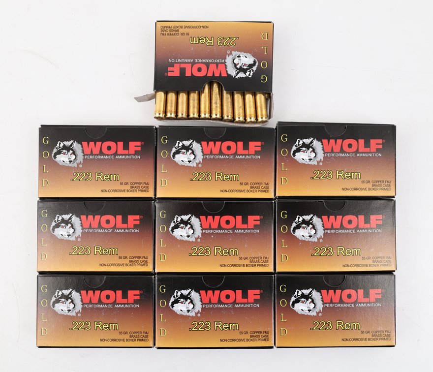 223 Rem Ammo