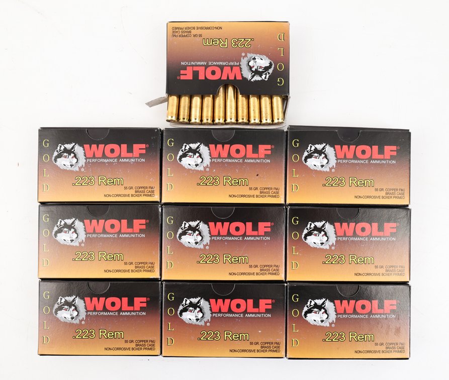 223 Rem Ammo