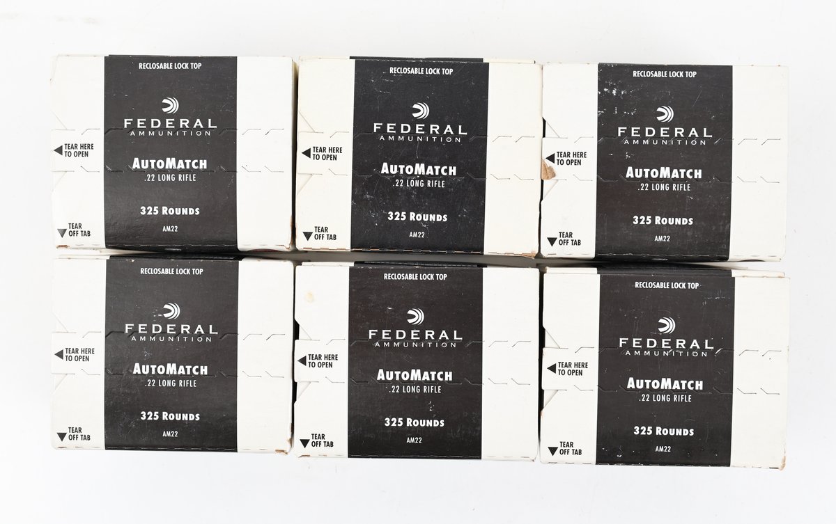 22LR Ammo