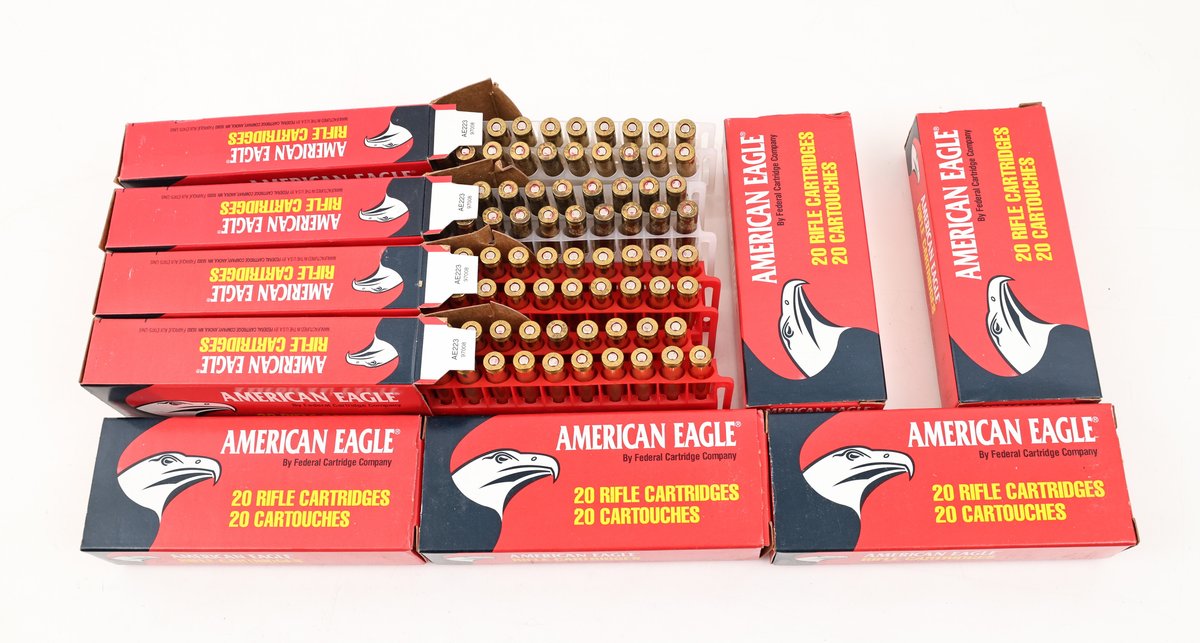223 Rem Ammo