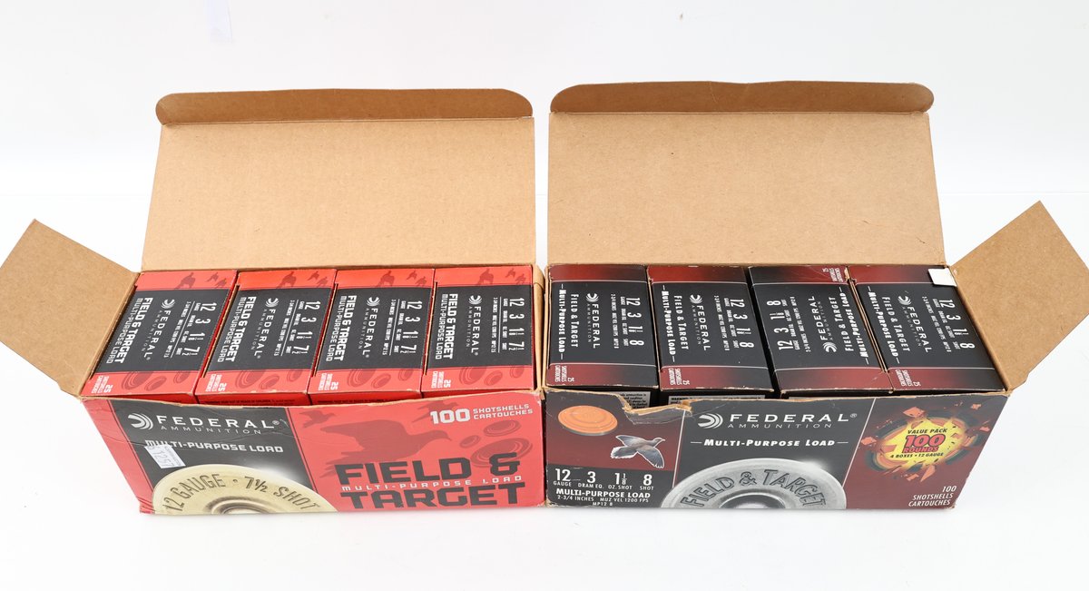 12Ga Ammo