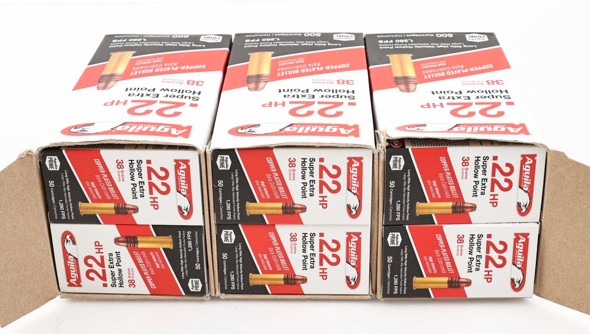 22LR Ammo