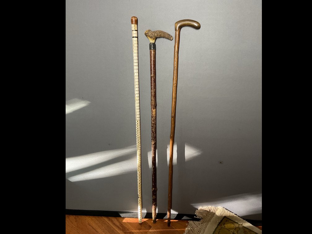 Shark Vertebrae, Horn, and Wood Walking Canes