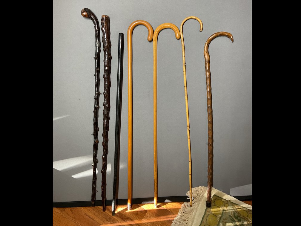 Wooden Canes and Walking Sticks