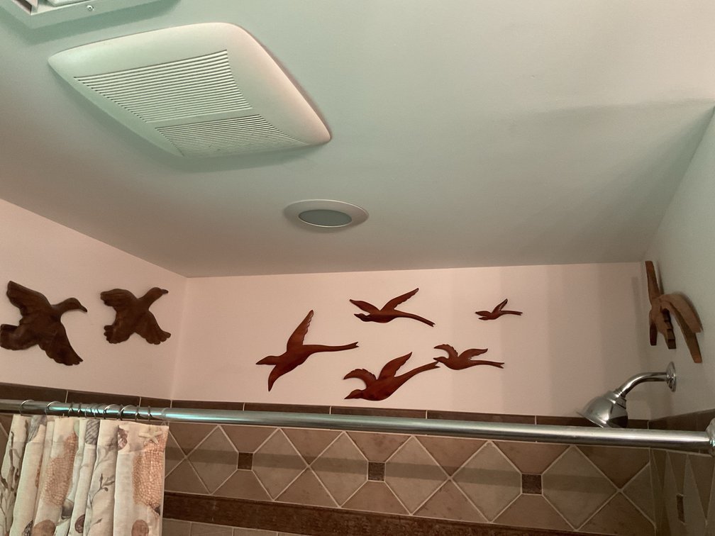 Carved Wood Bird Wall Sculptures