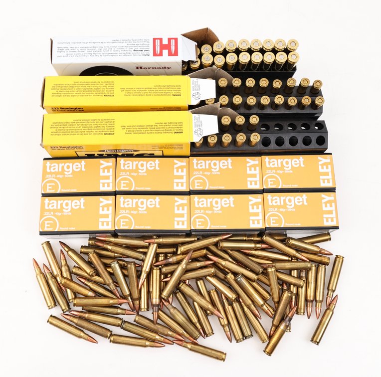 Ammo Assorted