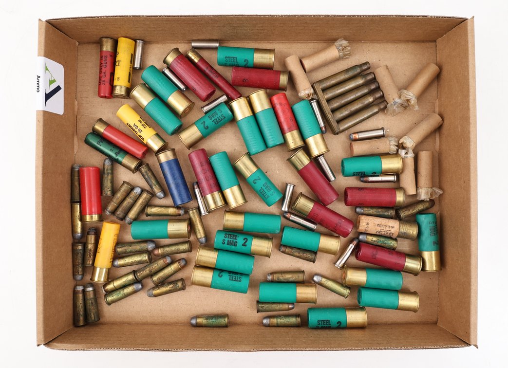 Ammo Assorted