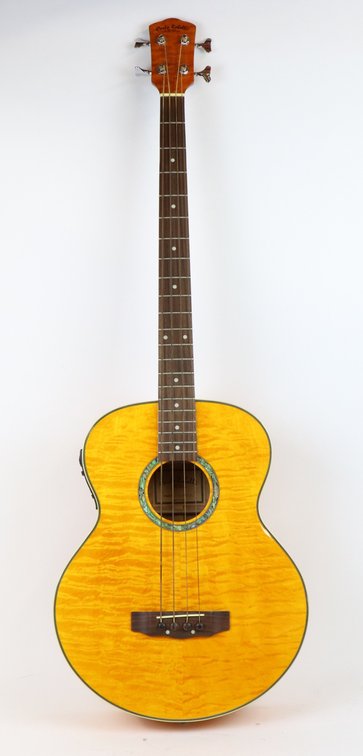 Carlo Robelli Acoustic Electric Bass