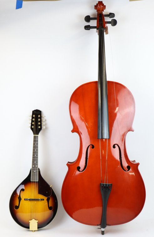 Mandolin and Cello