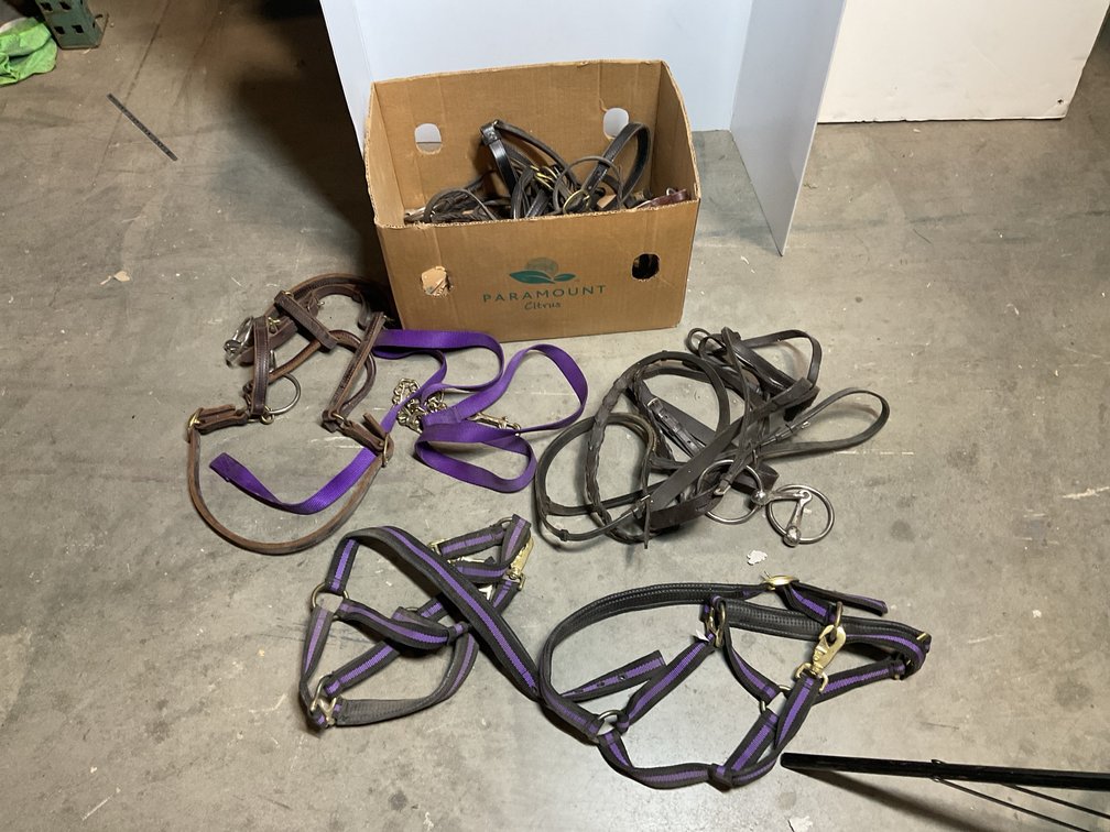 Horse Tack