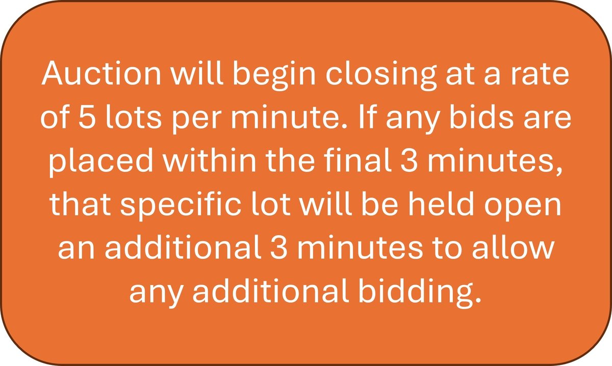 Auction Info