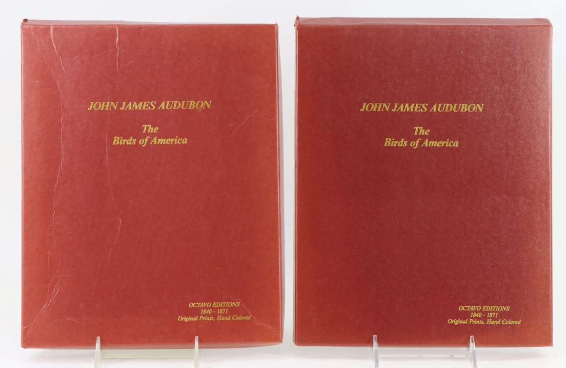 Collection of Audubon Bird Prints From Octavo Edition