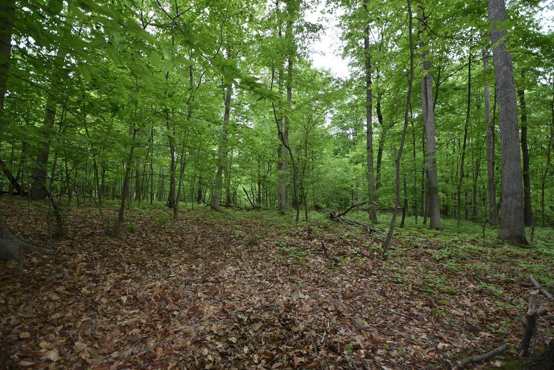 Image for Real Estate for Auction | 15+ Acres in Salford Township | S. Schultz Road in Telford, PA 18969 | July 18, 2024 at 4:30 PM