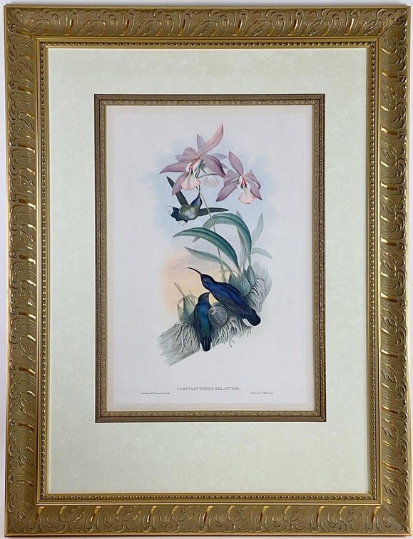 Bird Print