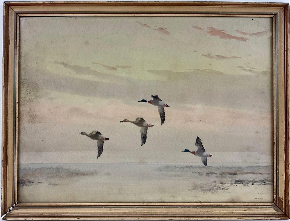 Watercolor