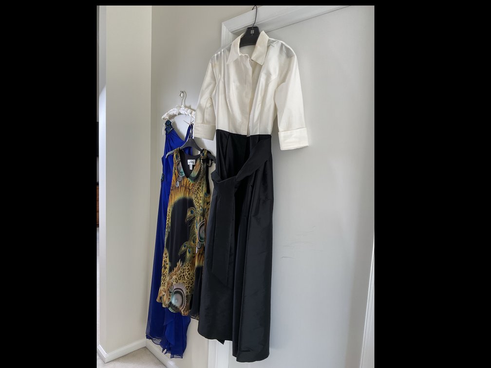 Designs by Deborah Dress, Joseph Ribkoff Dress, and Teri Jon Dress