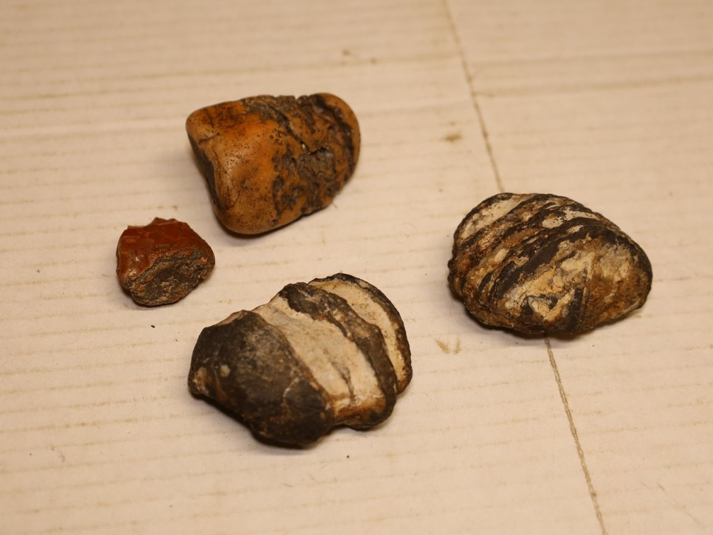 Small Collectibles & Trinkets