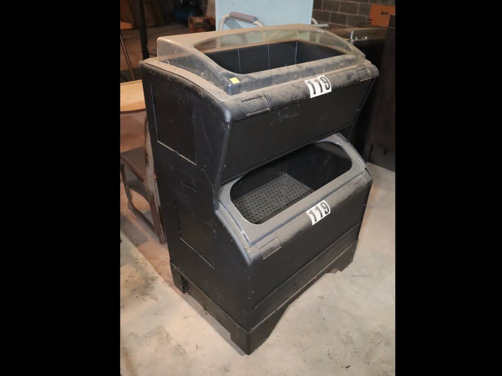 Dual-Bin Ice Merchandiser