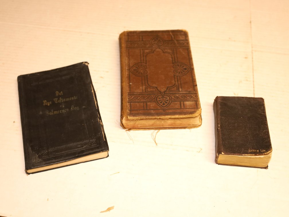 Antique Norwegian & American Bibles